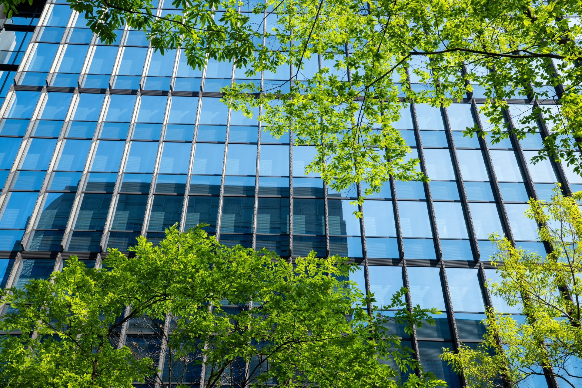新緑が映えるガラス張りのオフィスビル